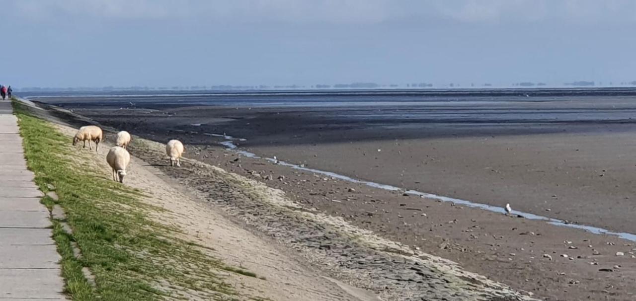 شقة Fewo Mit Meerblick - Direktzugang Zur Nordsee فيلهلمسهافن المظهر الخارجي الصورة